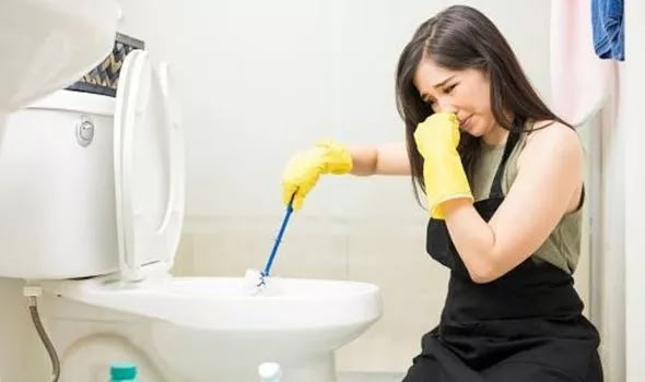 how to unblock a toilet